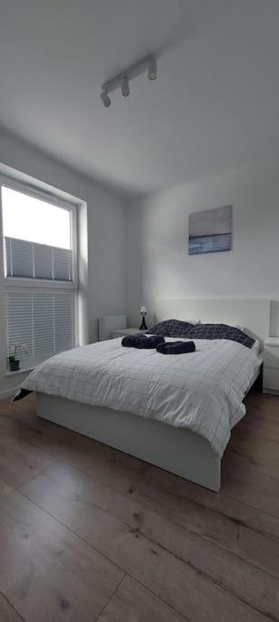 PogorzeUrokliwy Apartament Baltyk Nieopodal Gdyni Newアパートメント エクステリア 写真